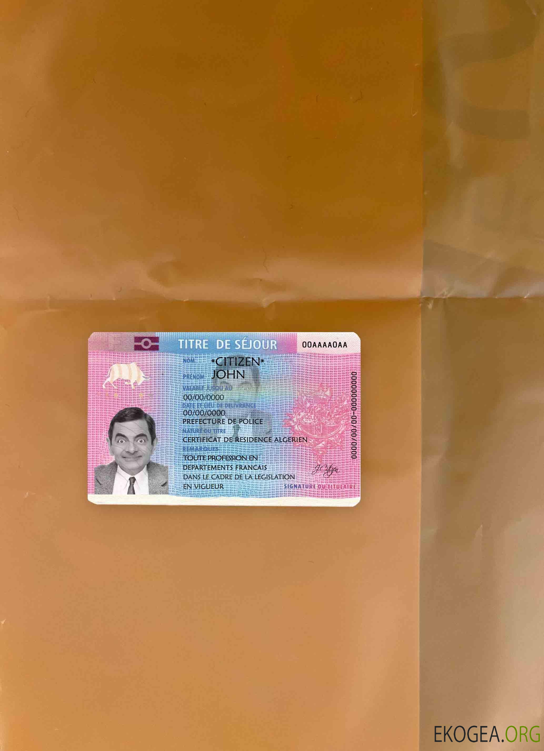 France Titre de séjour (Titre de séjour) photolook FRONT